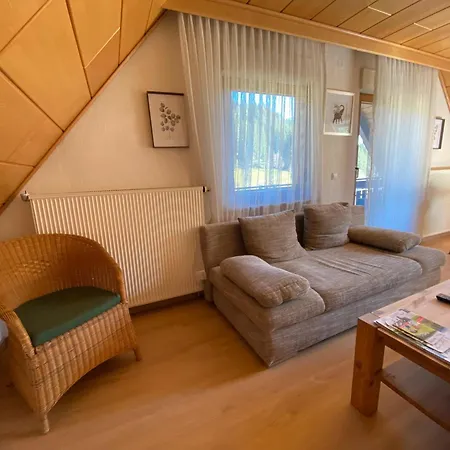 Gaestehaus Brigitte Schoch アパート Bad Rippoldsau-Schapbach