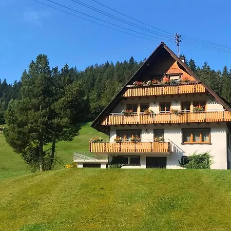 Gaestehaus Brigitte Schoch アパート Bad Rippoldsau-Schapbach