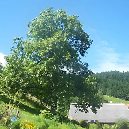 Gaestehaus Brigitte Schoch * Bad Rippoldsau-Schapbach