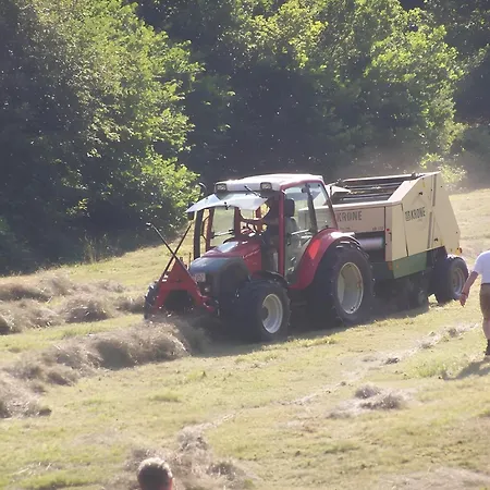 Gaestehaus Brigitte Schoch アパート *