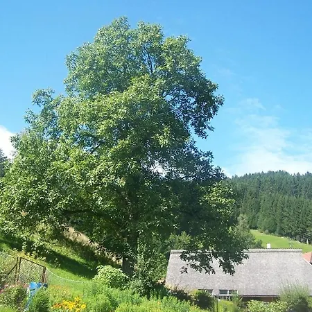 Apartament Gaestehaus Brigitte Schoch