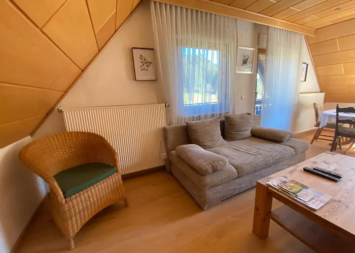 Gaestehaus Brigitte Schoch Appartamento Bad Rippoldsau-Schapbach