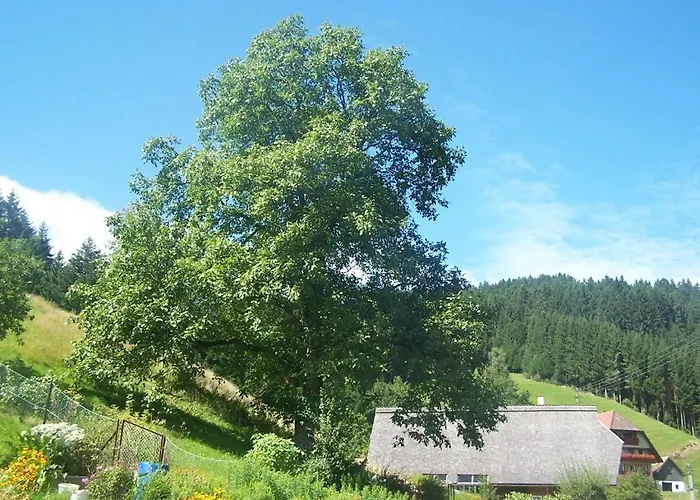 Gaestehaus Brigitte Schoch Bad Rippoldsau-Schapbach