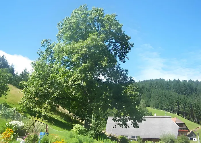 Gaestehaus Brigitte Schoch * Bad Rippoldsau-Schapbach