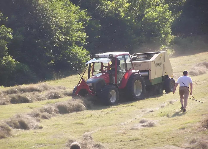 Gaestehaus Brigitte Schoch Appartamento *